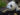 google panda algorithm update