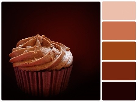 monochromatic website colours