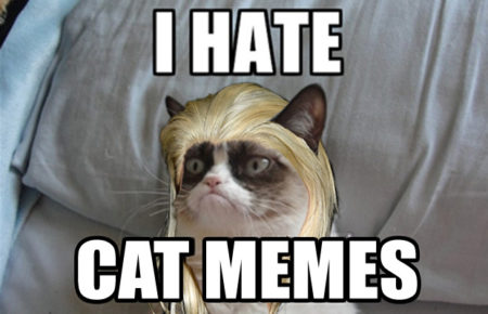 Grumpy cat meme