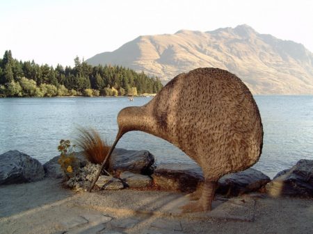 SEO in New Zealand