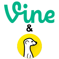 Vine Meerkat