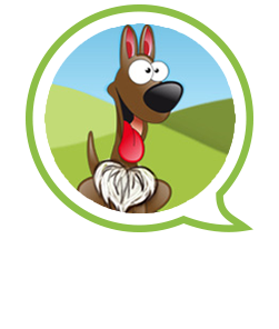 Aero Pets
