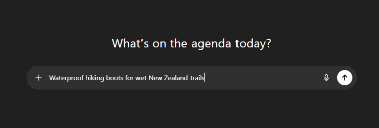 Asking ChatGPT about a product